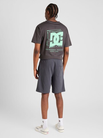 DC Shoes Loose fit Pants 'HIGHLAND' in Grey