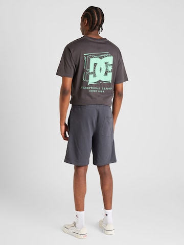 DC Shoes Loosefit Housut 'HIGHLAND' värissä harmaa