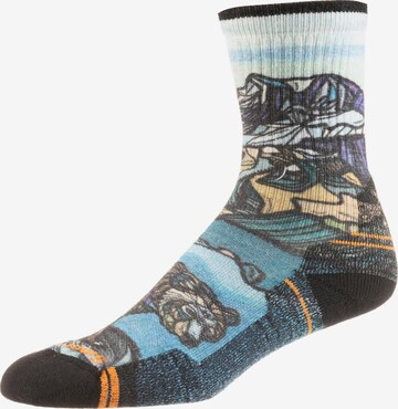 Smartwool Athletic Socks 'Hike Light Cushion Crew' in Blue: front