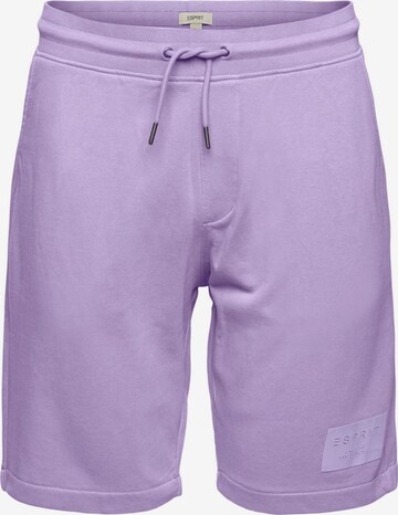 ESPRIT Regular Pants in Purple: front