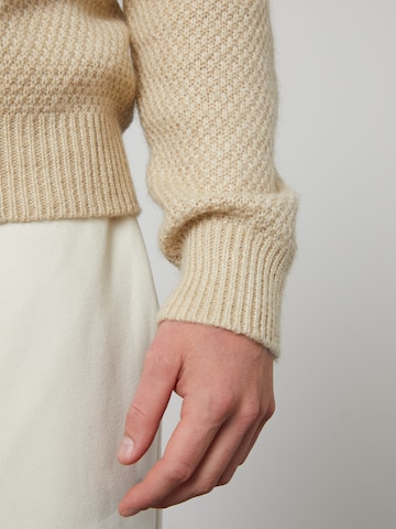 DAN FOX APPAREL Pullover 'Dylan' in Beige