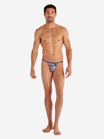 Slip ' Funky Styles ' HOM en bleu