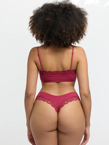 Bustino Reggiseno 'Lace Bralette' di cfab in rosa