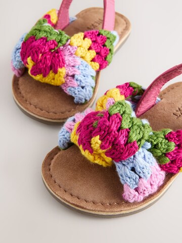Next - Sandalias en Mezcla de colores