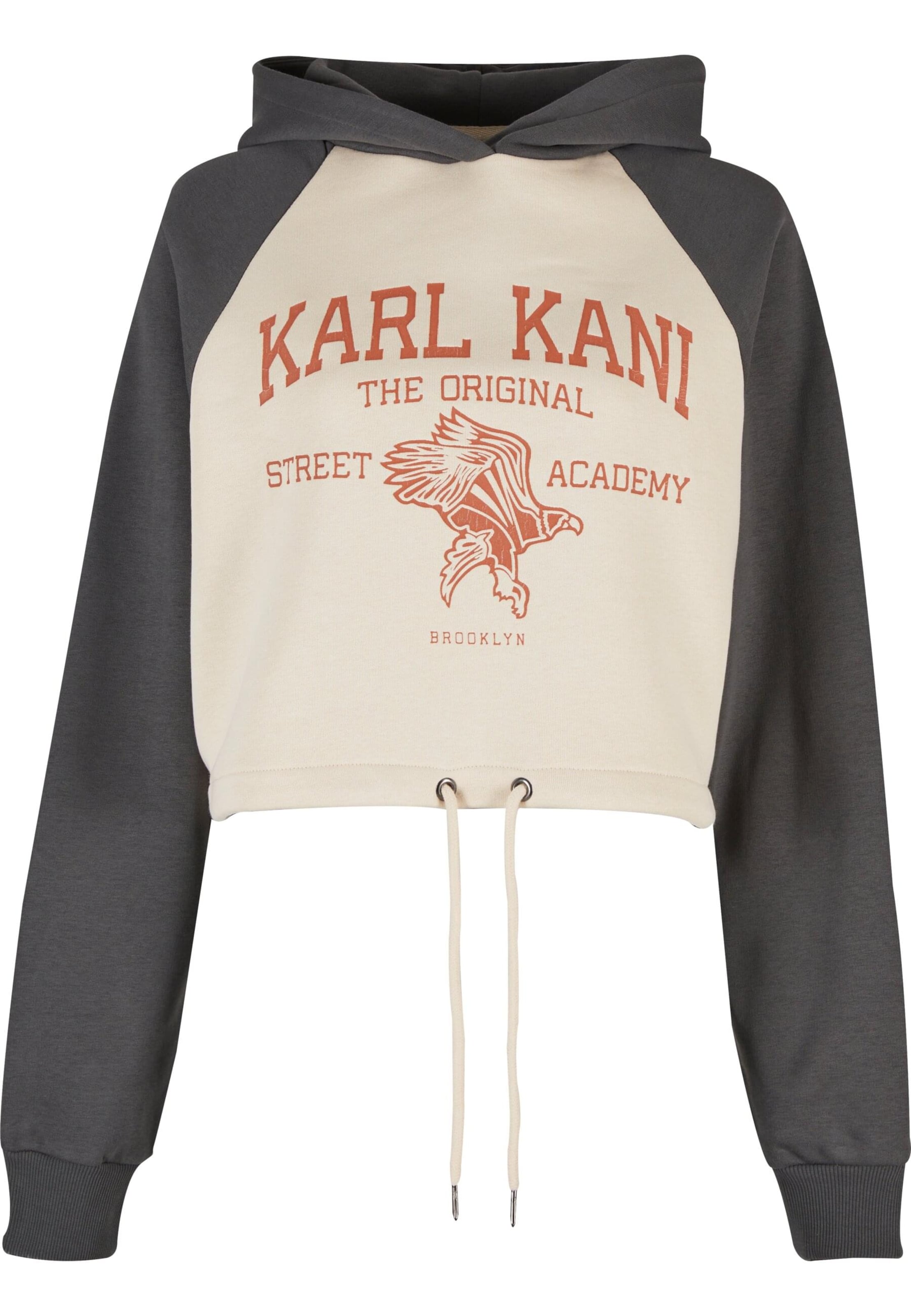 Sweat-shirt 'Street Academy' Karl Kani en beige : devant