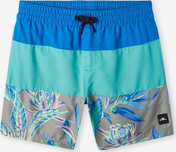 Shorts de bain O'NEILL en mélange de couleurs : devant