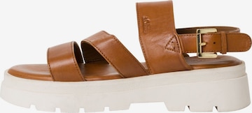 s.Oliver Sandals in Brown