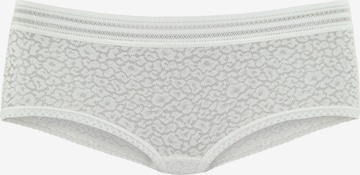 LASCANA Boyshorts in White: front