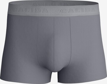 CALIDA Boxer shorts 'Clean Line' in Grey: front