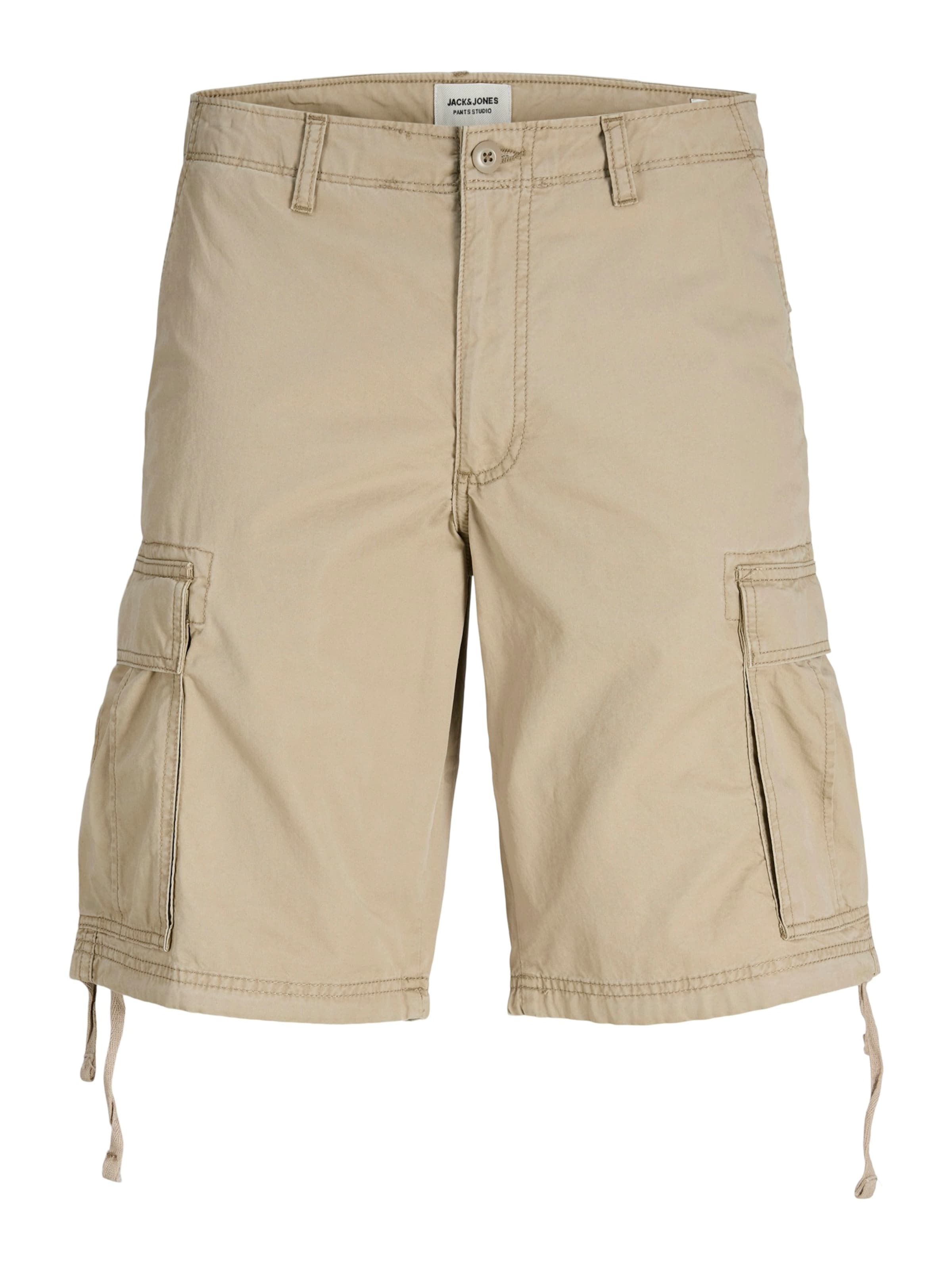 JACK & JONES Cargo Pants 'JPSTCOLE FRANK' in Brown: front