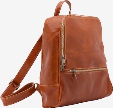 Viola Castellani Backpack in Brown: front