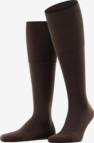 FALKE Knee High Socks 'Airport Plus' in Brown: front