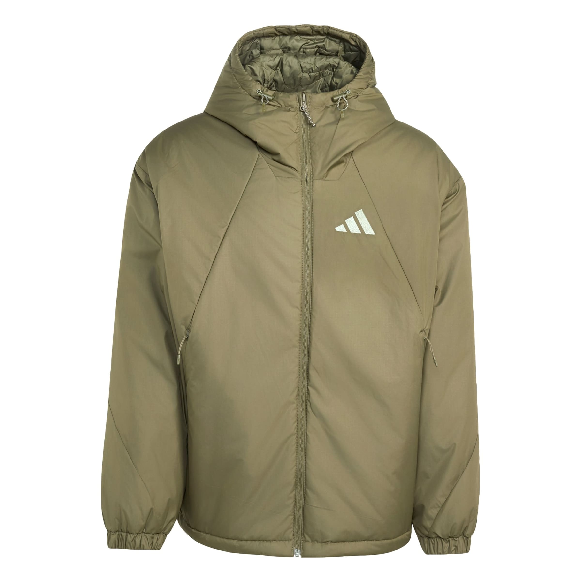 ADIDAS TERREX Outdoorjas 'Multi' in Groen: voorkant