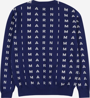 Marni Pullover in Blau