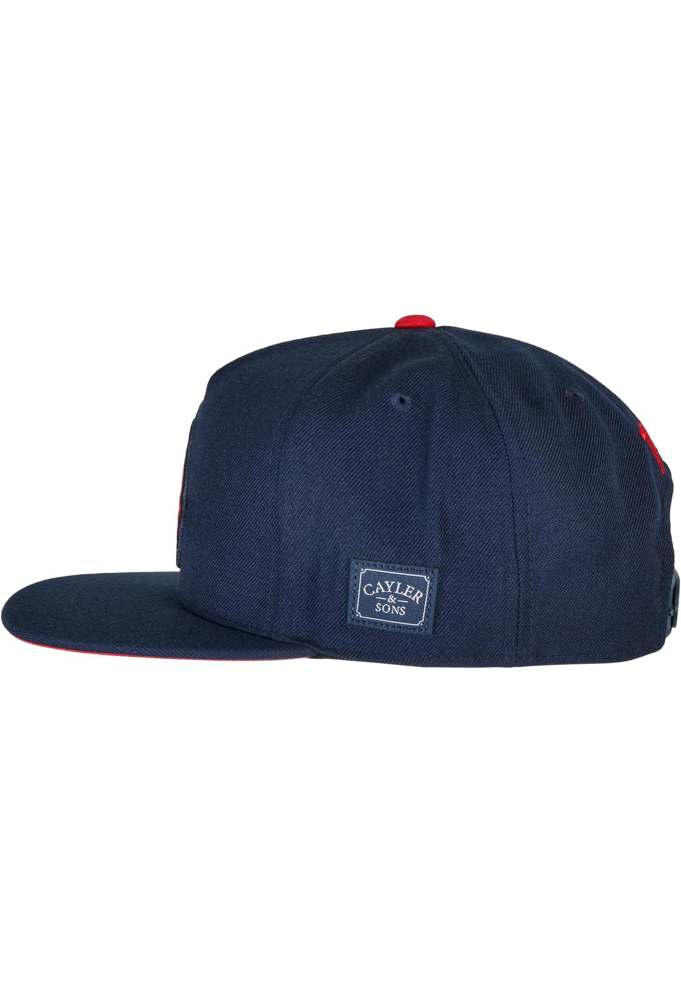 Cayler & Sons Pet in Blauw