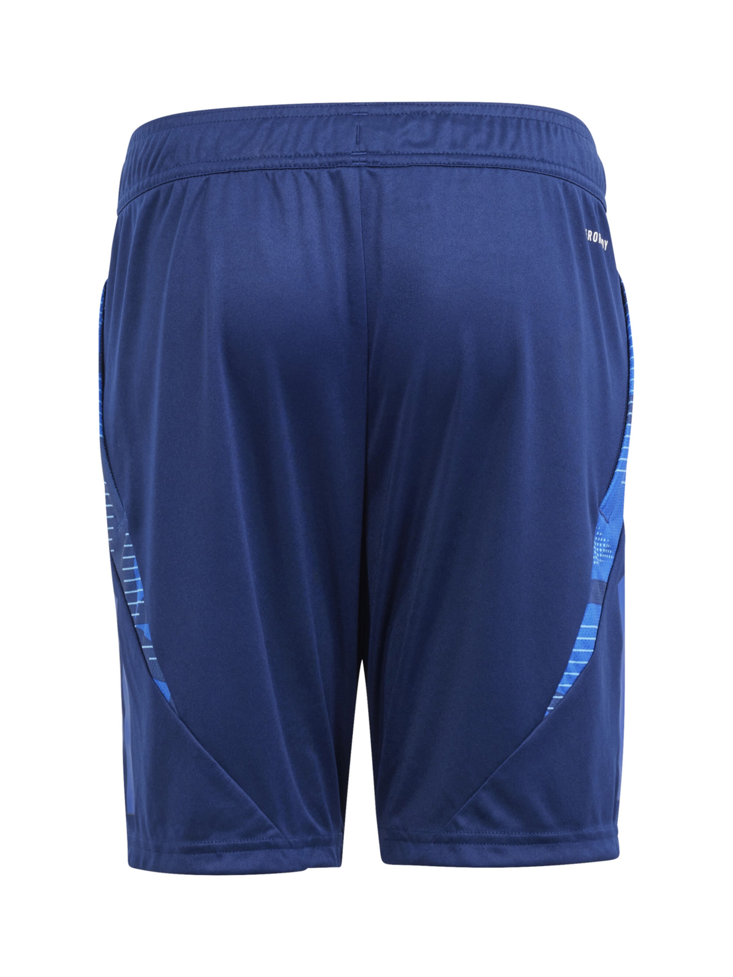 ADIDAS PERFORMANCE Regular Workout Pants in Blue