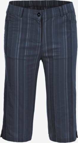 Goldner Pants in Blue: front