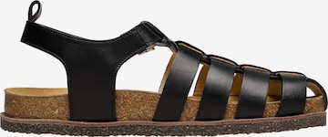 Henry Stevens Sandals 'Drew FSI' in Black