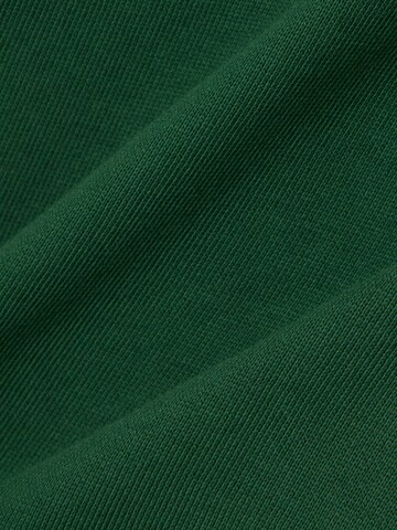 LACOSTE Sweatshirt in Grün