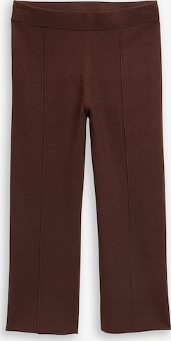 Pantalon à plis TOM TAILOR en marron : devant