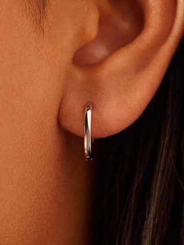 Lucardi Earrings in Silver: front