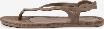 Brasileras Sandale 'Antalya' in Braun: Vorderseite