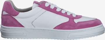 TAMARIS Sneaker low i pink