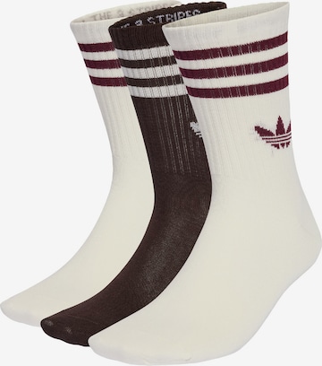 ADIDAS ORIGINALS Socks in Brown: front