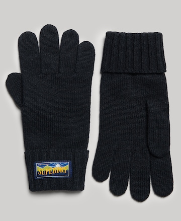 Superdry Full Finger Gloves in Blue