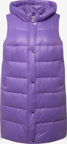 Angel of Style Vest in Purple: front