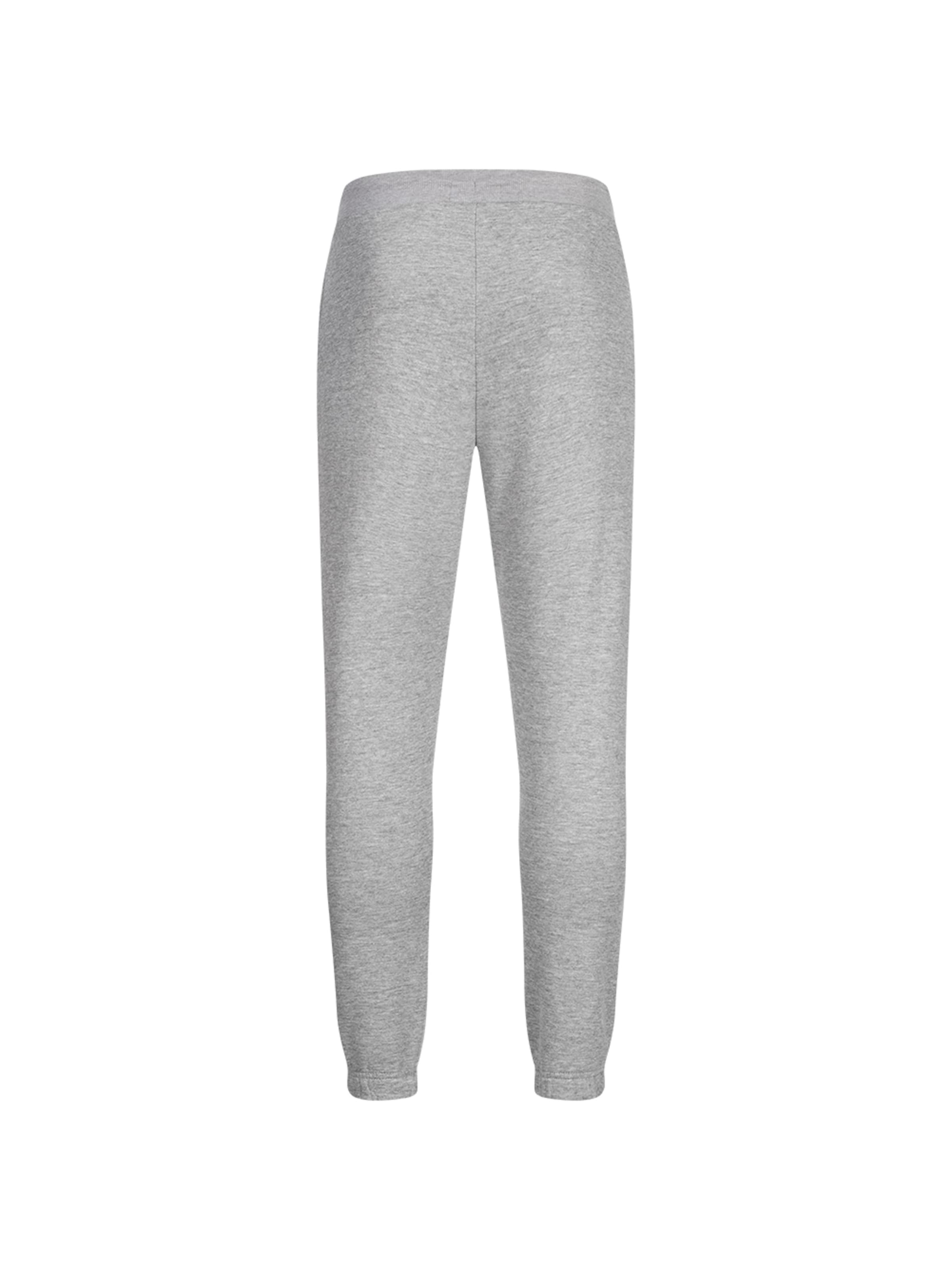 Regular Pantalon de sport PIERRE CARDIN en gris