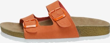 KINETIX Slipper "BUGS 2FX" in Orange: predná strana