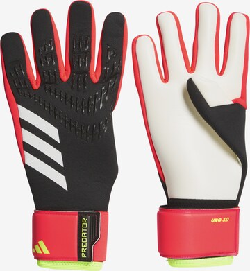 ADIDAS PERFORMANCE Athletic Gloves 'Predator League' in Black: front