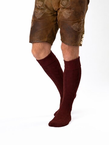 HerzSticht Traditional Socks 'Silberdistel' in Red