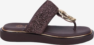 Desa T-bar sandals in Brown: front
