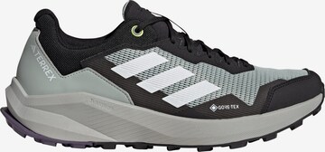 ADIDAS TERREX Laufschuh in Grau