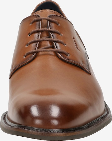 SIOUX Lace-Up Shoes ' Malronus ' in Brown