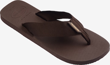 HAVAIANAS Japonki w kolorze brązowy: przód