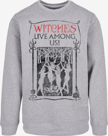 F4NT4STIC Sweatshirt 'Fantastic Beasts Witches Live Among Us' in Grijs: voorkant