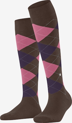 BURLINGTON Overknee Strümpfe 'Queen' in Braun: Vorderseite
