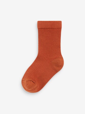 Next Socks in Beige