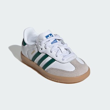 ADIDAS ORIGINALS Кроссовки 'Samba' в Белый