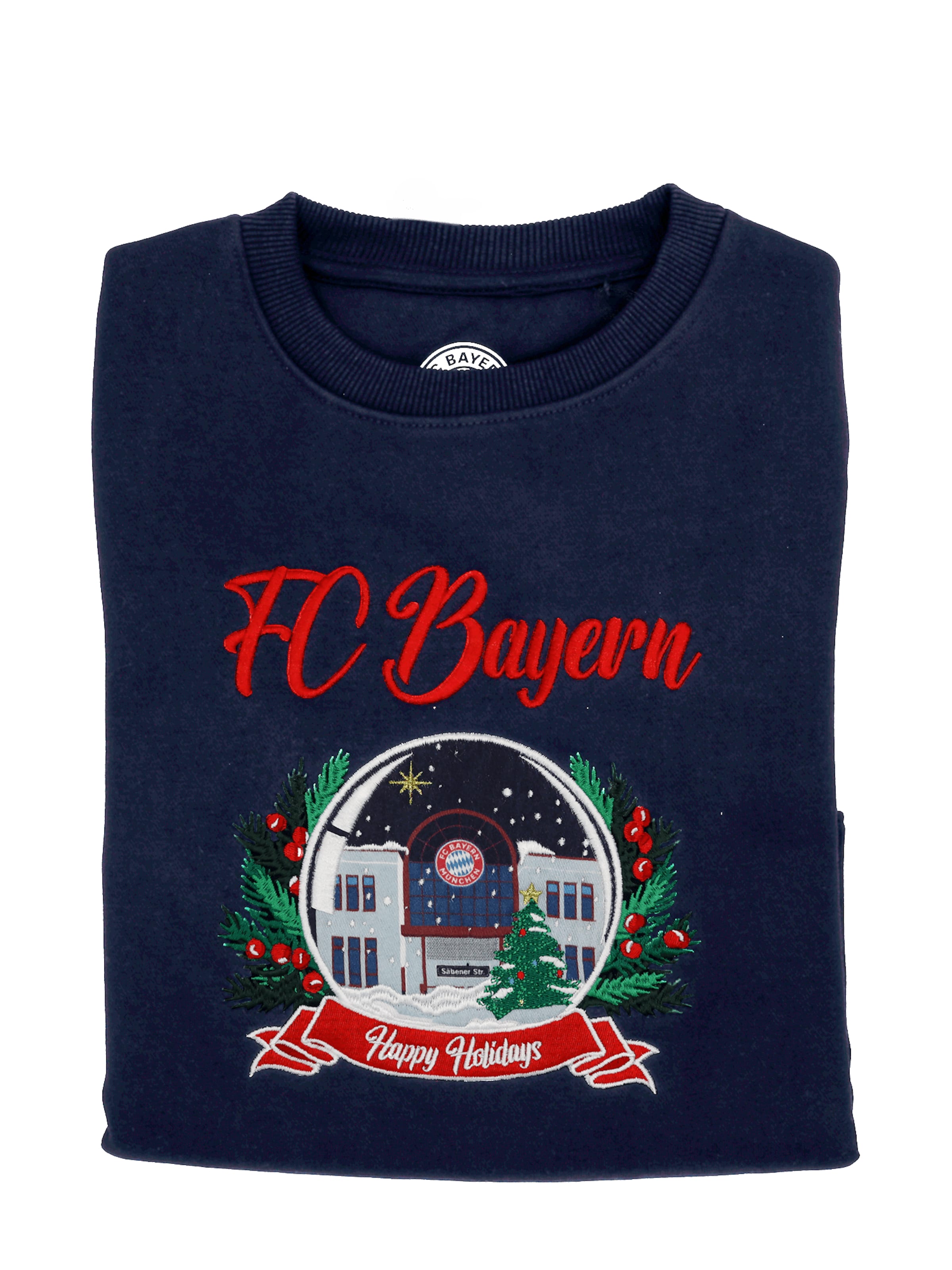FC BAYERN MÜNCHEN Sweater in Blue: front