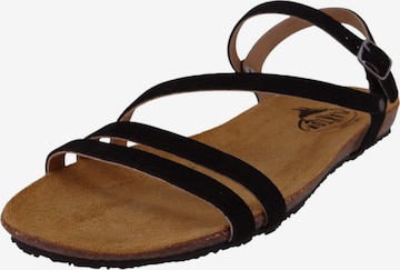 Sandales Plakton en noir : devant