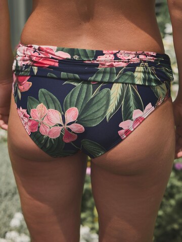 Next Низ бикини 'Kew' в Синий