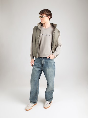 Champion Authentic Athletic Apparel Sweatshirt i grå