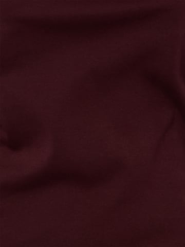 Brookshire Shirt in Red