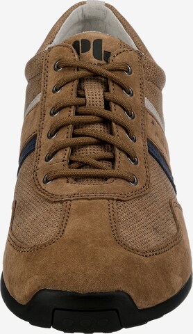 Pius Gabor Sneakers in Brown