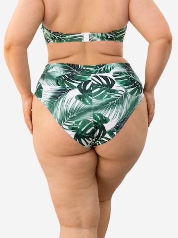 SugarShape Bikinibroek 'Monaco' in Groen