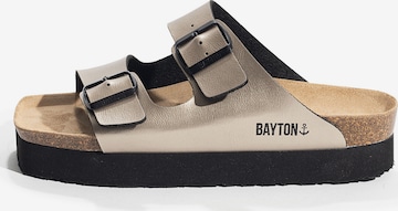 Mule 'JAPET' Bayton en or : devant